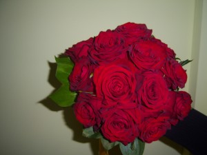 100_8393.JPG
