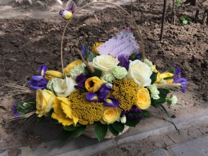 IMG_7984.JPG