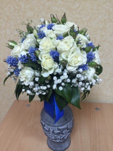 IMG_7996.JPG