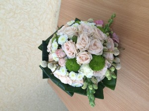 IMG_8010.JPG