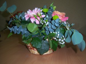 100_8522.JPG