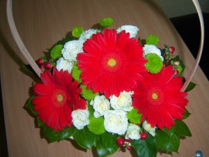 100_8513.JPG